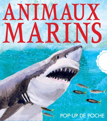 Animaux marins
