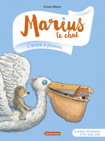 L'avion à plumes L'avion à plumes