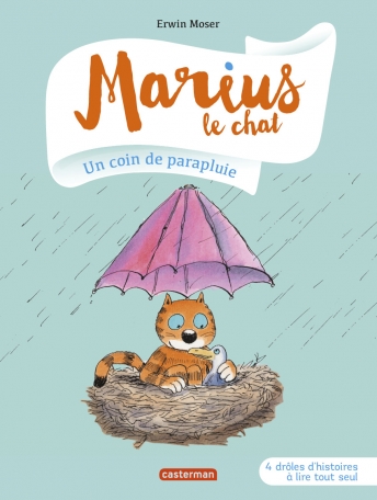 Un coin de parapluie Un coin de parapluie