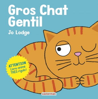 Gros chat gentil Gros chat gentil