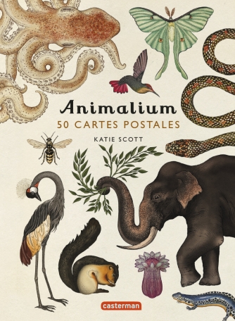 Animalium - 50 cartes postales