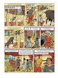 Aperçu 5